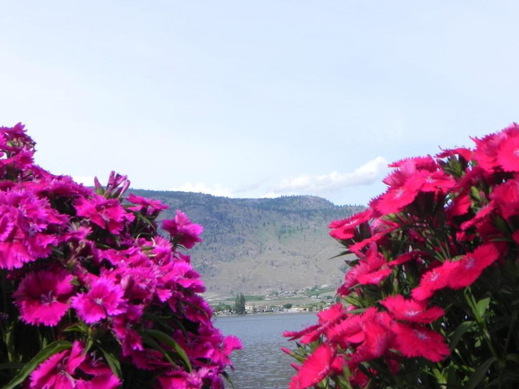 Destiny Beach Resort Osoyoos Exterior foto